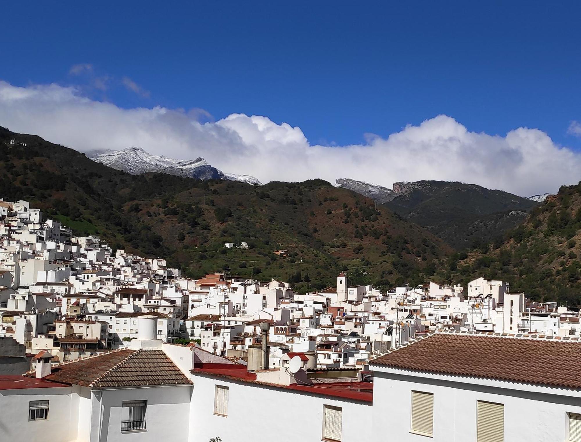 Apartamento El Almencino Tolox Exteriér fotografie